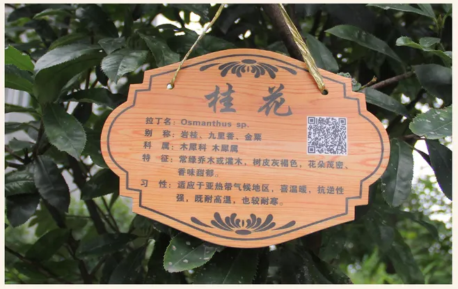 啦电二维码-苗木树牌
